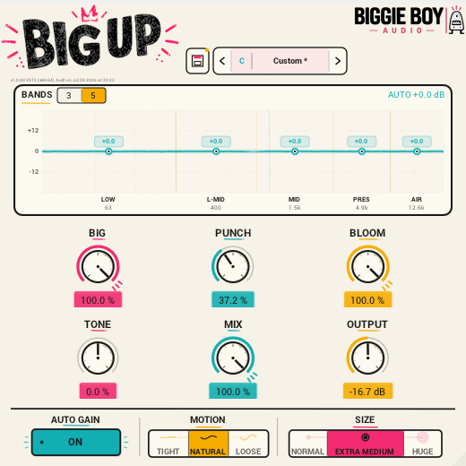 Big Up plugin interface