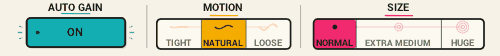 Big Up utility controls demonstrating Auto Gain, Motion, and Size options